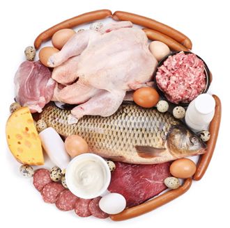 Exemplos de alimentos que podem ser utilizados como fonte de proteínas